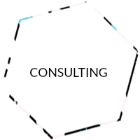 CONSULTING